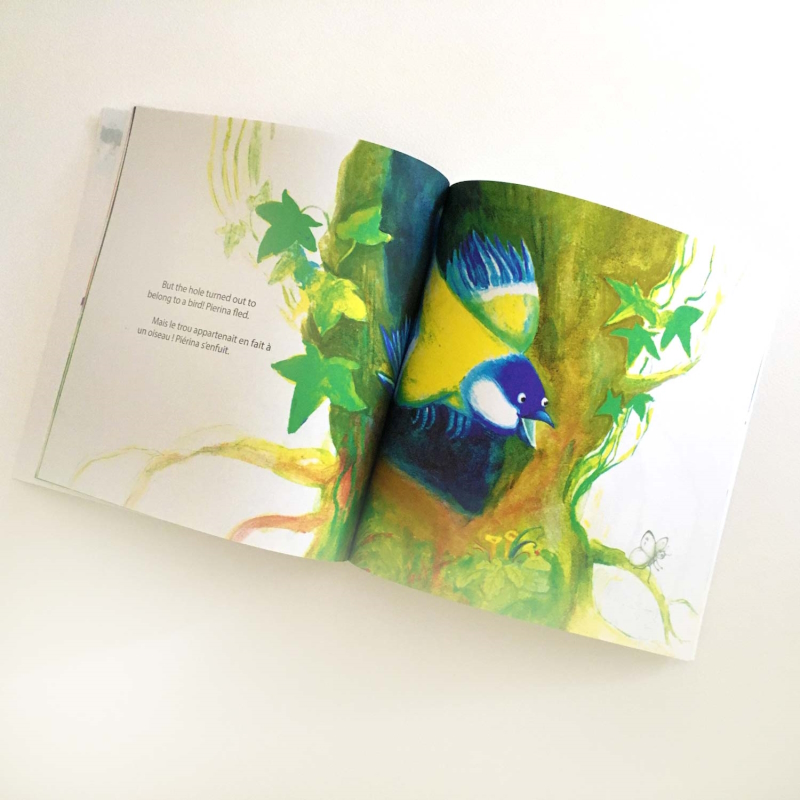 antonina novarese illustratice jeunesse et ecrivaine nantes echappees belles