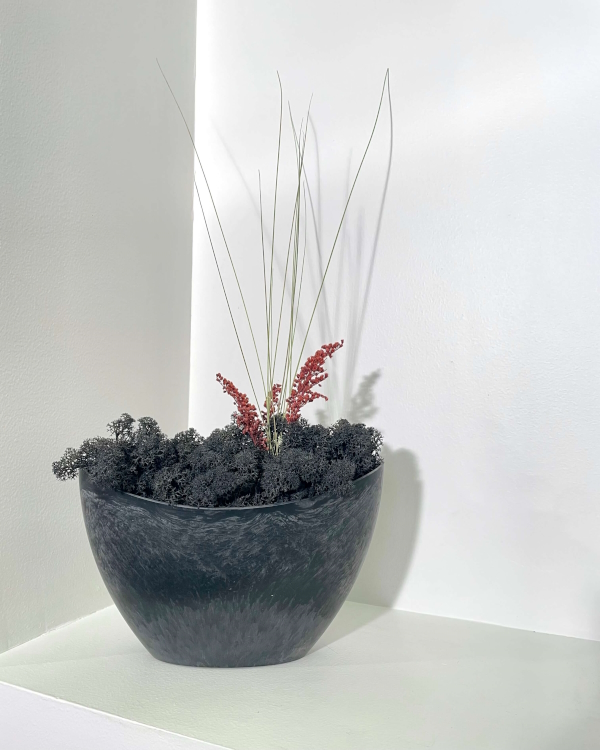 lichen and co vegetaux stabilisés echappees belles nantes